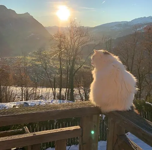 Blockhausfeeling Privatunterkunft *