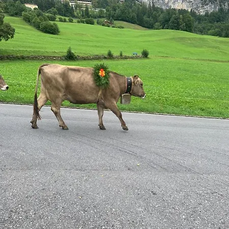 Homestay szállás Blockhausfeeling Walenstadtberg
