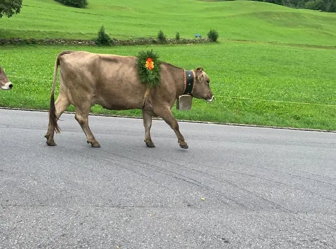 Séjour chez l'habitant Blockhausfeeling Walenstadtberg